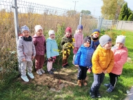 Dzień Drzewa gr. Motylki