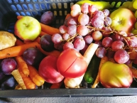 Warzywa i owoce u Zajączków 