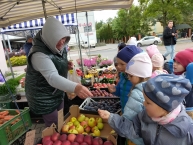 Wycieczka Pszczółek na Stragan owocowo - warzywny